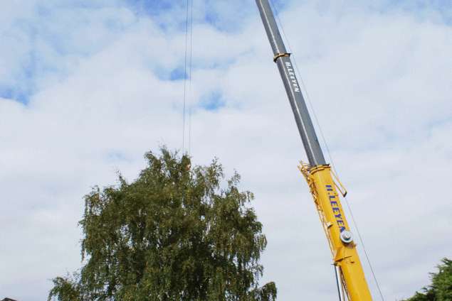 rooien van een berkenboom uit de achtertuin in Deurne Dalem De Dellen Deurne Diessen Goirle Distelberg Doeveren Dongen Donk Doornhoek Dorst Driekhoe Driehuis Driehuizen